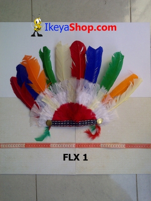 FLX 1  large2